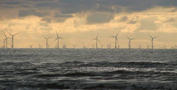 Dutch and Danish power firms bid for New Jersey offshore wind projects